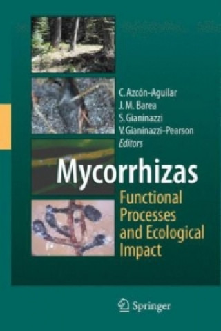 Könyv Mycorrhizas - Functional Processes and Ecological Impact Concepción Azcón-Aguilar