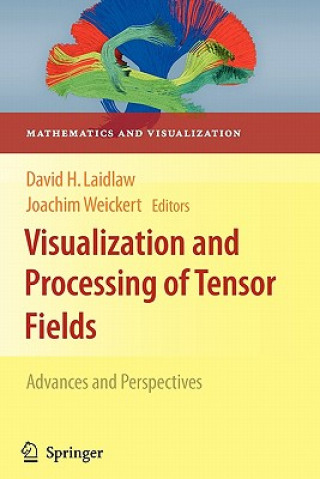 Libro Visualization and Processing of Tensor Fields David H. Laidlaw