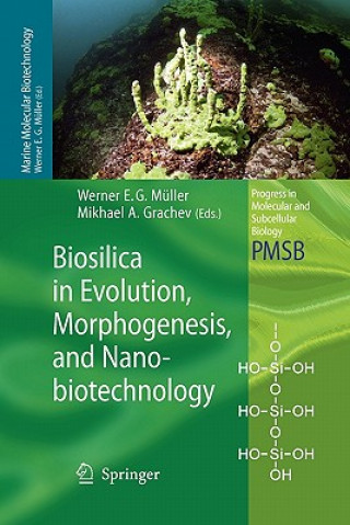 Livre Biosilica in Evolution, Morphogenesis, and Nanobiotechnology Werner E. G. Müller