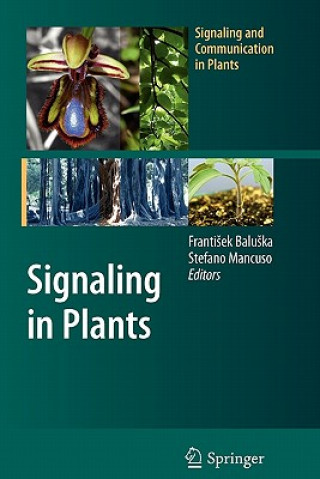 Książka Signaling in Plants Frantisek Baluska