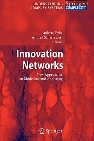 Knjiga Innovation Networks Andreas Pyka