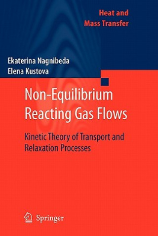 Kniha Non-Equilibrium Reacting Gas Flows Ekaterina Nagnibeda