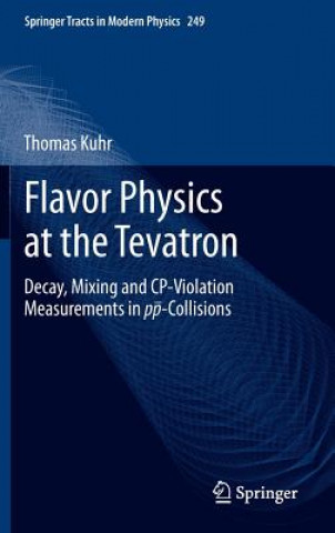 Książka Flavor Physics at the Tevatron Thomas Kuhr