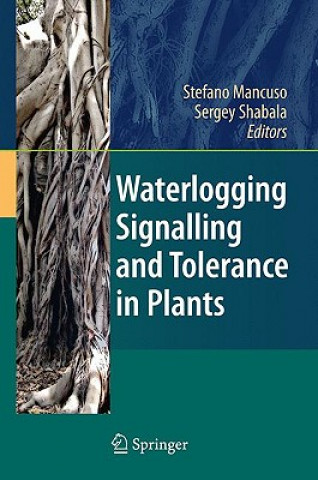 Książka Waterlogging Signalling and Tolerance in Plants Stefano Mancuso