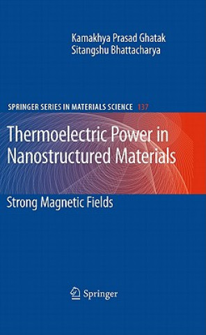 Kniha Thermoelectric Power in Nanostructured Materials Kamakhya Prasad Ghatak