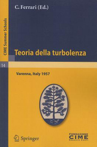 Kniha Teoria della turbolenza C. Ferrari