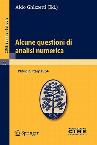 Livre Alcune questioni di analisi numerica Aldo Ghizzetti