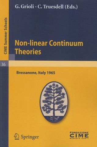 Kniha Non-linear Continuum Theories Giuseppe Grioli