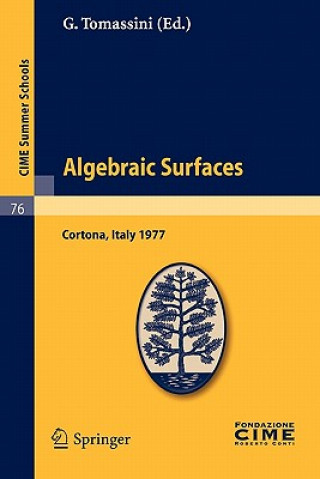 Kniha Algebraic Surfaces G. Tomassini