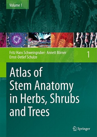 Book Atlas of Stem Anatomy in Herbs, Shrubs and Trees Fritz H. Schweingruber