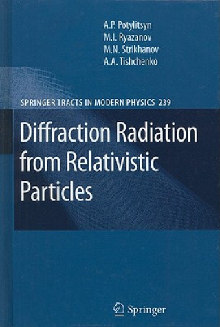 Könyv Diffraction Radiation from Relativistic Particles Alexander P. Potylitsyn