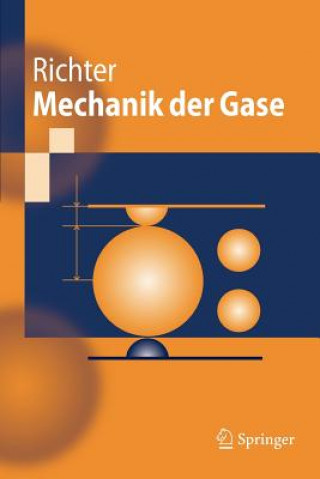 Könyv Mechanik Der Gase Dieter Richter