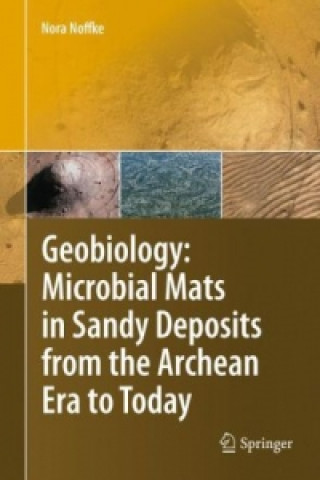 Книга Geobiology Nora Noffke