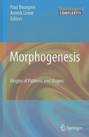 Buch Morphogenesis Paul Bourgine