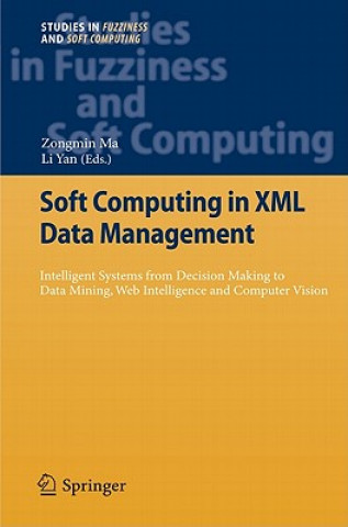 Könyv Soft Computing in XML Data Management Zongmin Ma