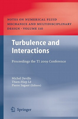 Buch Turbulence and Interactions Michel Deville