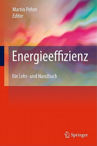 Carte Energieeffizienz Martin Pehnt