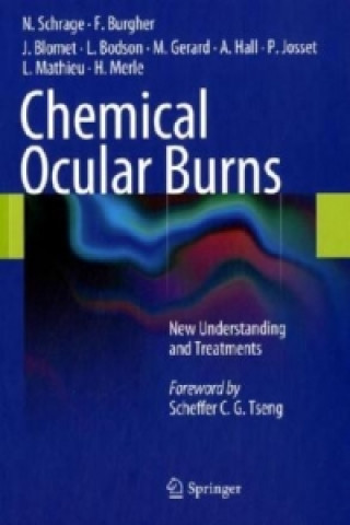 Book Chemical Ocular Burns Norbert Schrage