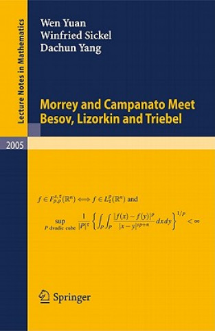 Buch Morrey and Campanato Meet Besov, Lizorkin and Triebel Dachun Yang