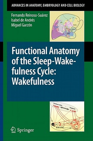 Knjiga Functional Anatomy of the Sleep-Wakefulness Cycle: Wakefulness Miguel Garzón