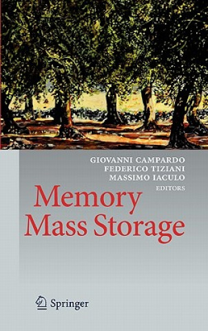 Könyv Memory Mass Storage Giovanni Campardo