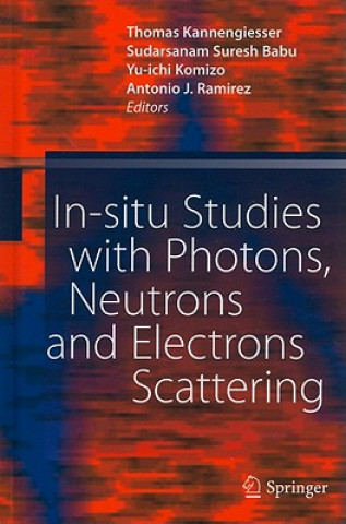 Könyv In-situ Studies with Photons, Neutrons and Electrons Scattering Thomas Kannengiesser