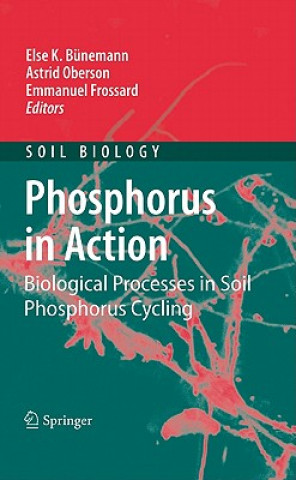 Könyv Phosphorus in Action Else K. Bünemann