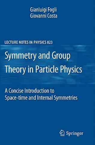 Könyv Symmetries and Group Theory in Particle Physics Giovanni Costa