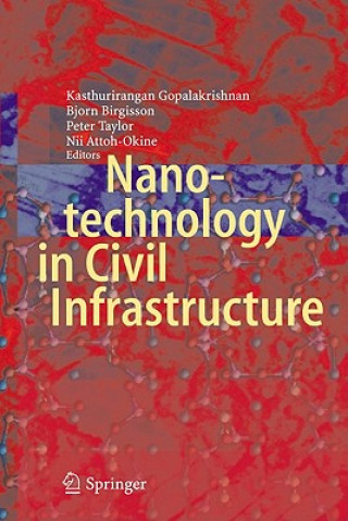 Kniha Nanotechnology in Civil Infrastructure Kasthurirangan Gopalakrishnan