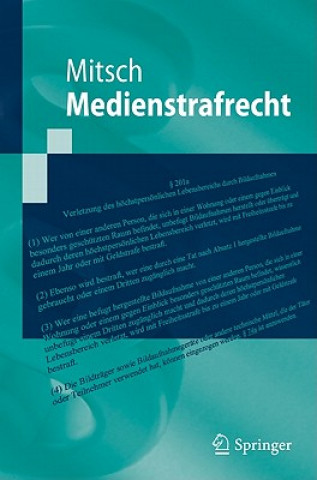 Livre Medienstrafrecht Wolfgang Mitsch