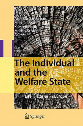 Knjiga Individual and the Welfare State Axel Börsch-Supan