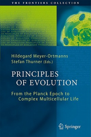 Kniha Principles of Evolution Hildegard Meyer-Ortmanns