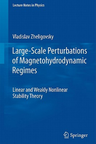 Könyv Large-Scale Perturbations of Magnetohydrodynamic Regimes Vladislav Zheligovsky