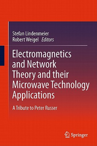 Książka Electromagnetics and Network Theory and their Microwave Technology Applications Stefan Lindenmeier