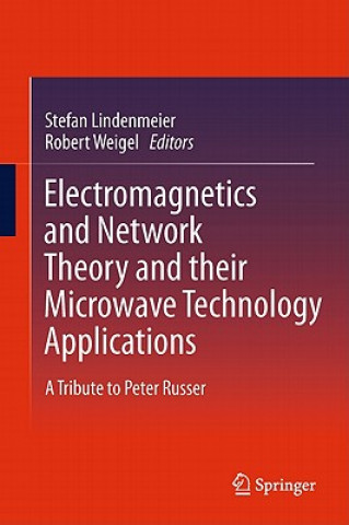 Kniha Electromagnetics and Network Theory and their Microwave Technology Applications Stefan Lindenmeier