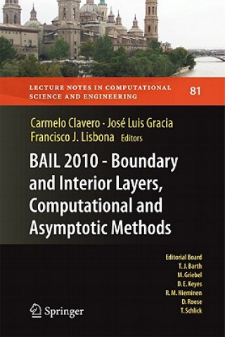 Kniha BAIL 2010 - Boundary and Interior Layers, Computational and Asymptotic Methods Carmelo Clavero