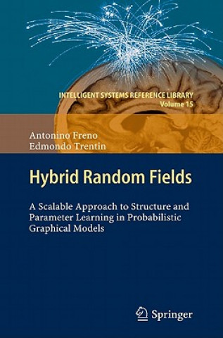 Książka Hybrid Random Fields Antonino Freno