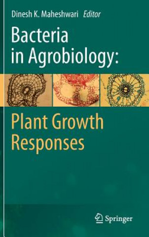 Kniha Bacteria in Agrobiology: Plant Growth Responses Dinesh K. Maheshwari