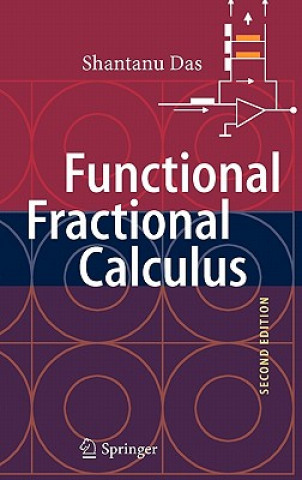 Könyv Functional Fractional Calculus Shantanu Das
