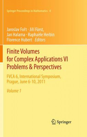 Buch Finite Volumes for Complex Applications VI   Problems & Perspectives Jaroslav Fo t