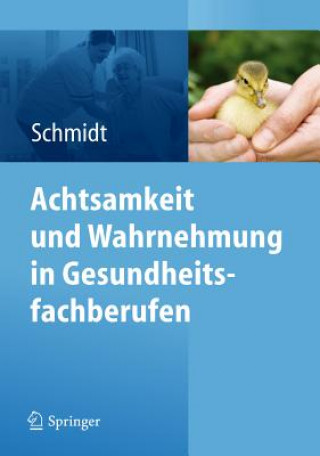 Könyv Achtsamkeit und Wahrnehmung in Gesundheitsfachberufen Simone Schmidt