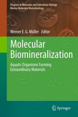 Buch Molecular Biomineralization Werner E. G. Müller