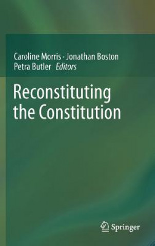 Buch Reconstituting the Constitution Caroline Morris