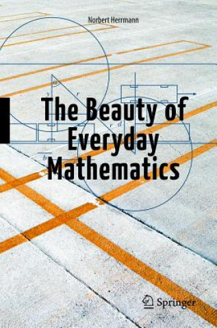 Kniha Beauty of Everyday Mathematics Norbert Herrmann