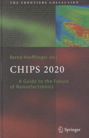 Kniha Chips 2020 Bernd Höfflinger