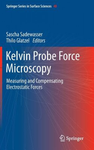 Könyv Kelvin Probe Force Microscopy Sascha Sadewasser