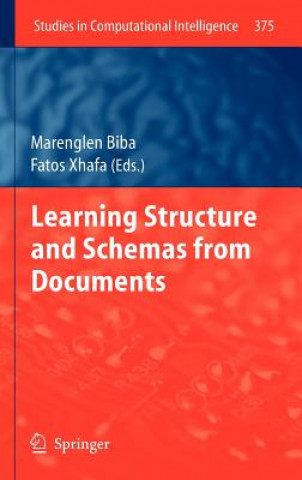 Livre Learning Structure and Schemas from Documents Marenglen Biba