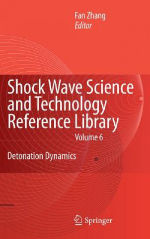 Carte Shock Waves Science and Technology Library, Vol. 6 F. Zhang