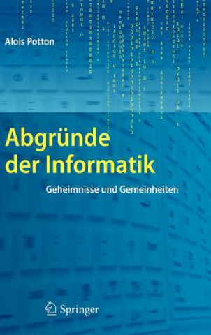 Buch Abgründe der Informatik Alois Potton