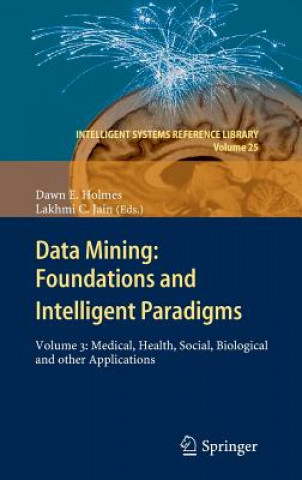 Könyv Data Mining: Foundations and Intelligent Paradigms Dawn E. Holmes